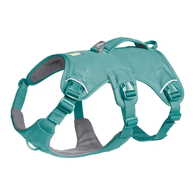 Ruffwear Web Master